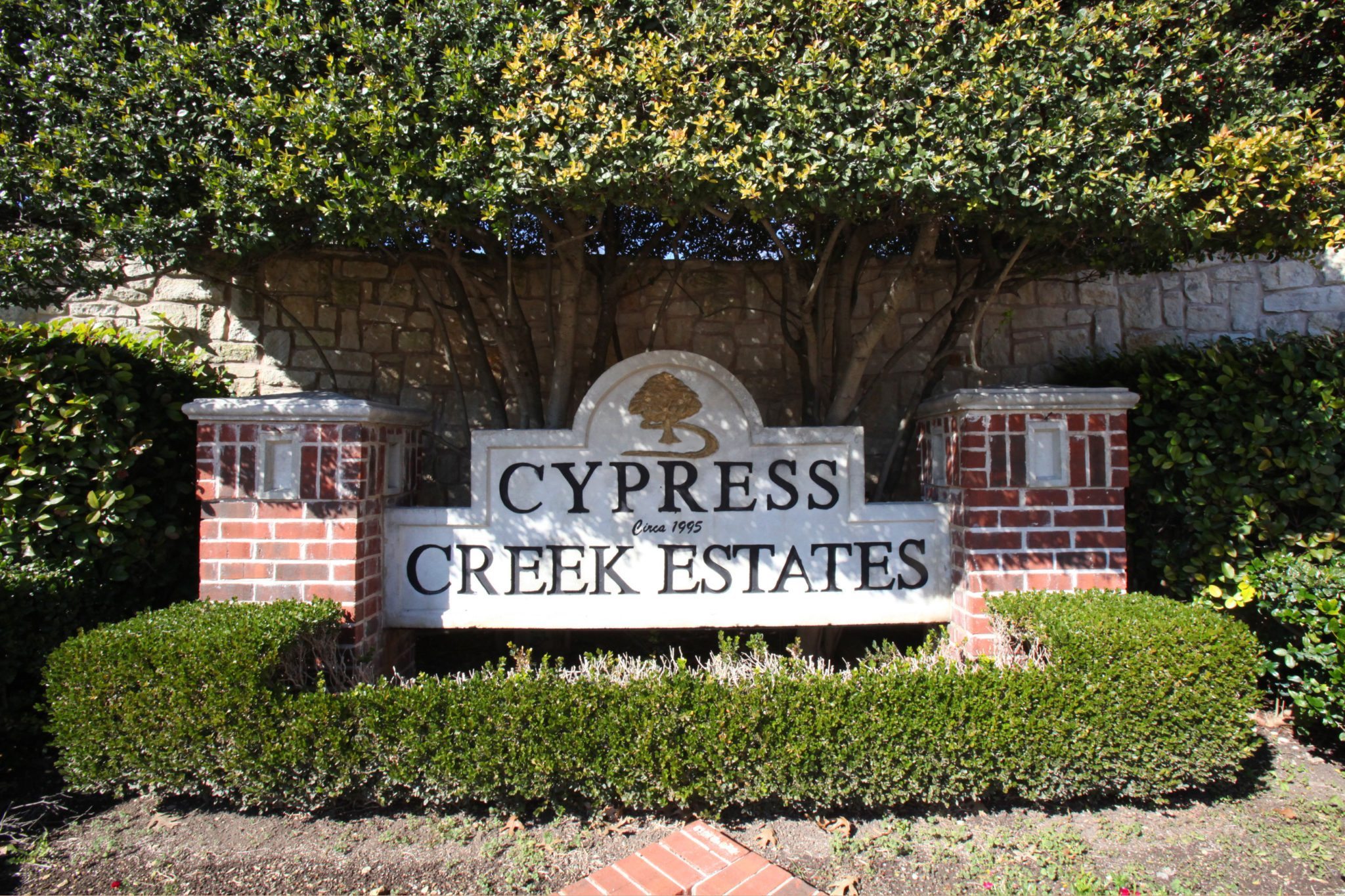 Cypress Creek